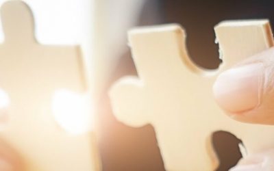 B2B-Portal: Extranet und Intranet als eine Einheit