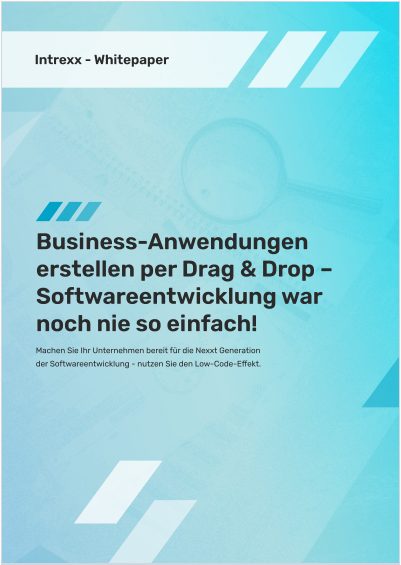 Business-Anwendungen Business-Anwendungen erstellen per Drag & Drop